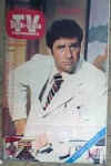 Mextvguide1977.jpg (10916 bytes)