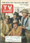 WT_TV_Guide.jpg (41630 bytes)