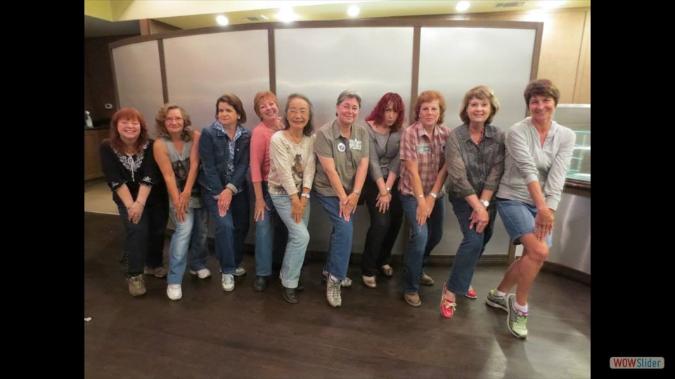 Fandom Ladies 2013